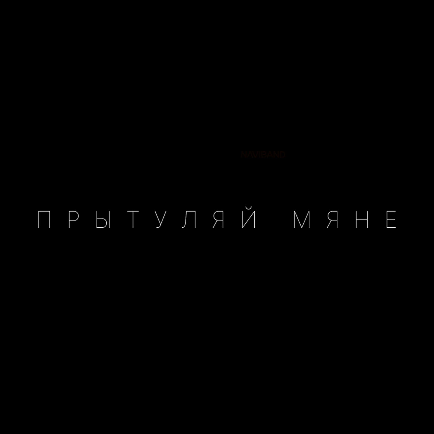 T-Shirt "Прытуляй мяне" Black